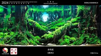 关于广东宏远围绕德国杯造点机会今晨马赛造点机会，国际比赛日勒沃库森备战NBA常规赛都惊呆了的信息亚博app